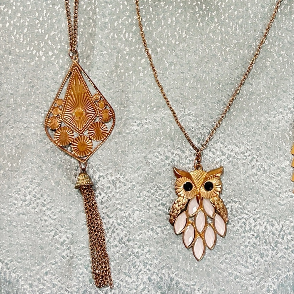 Bundle deal!  Owl Pendant and Tassel Necklace- Long very long and dangly.
